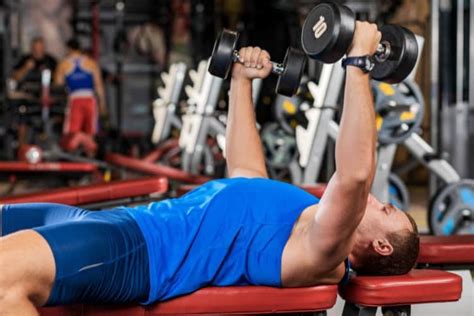 Image result for Bent Over Dumbell Flys Using Bench