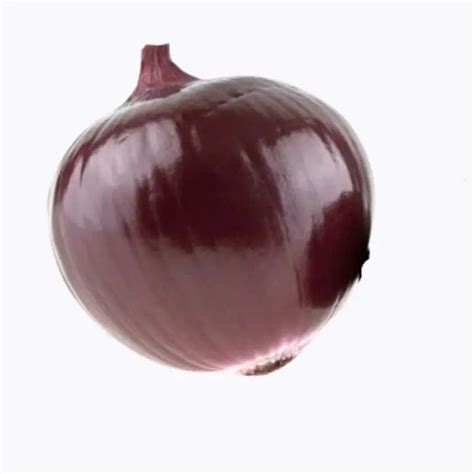 Buy Golden Hills Black Beauty Brinjal Seeds: Unique and Flavorful | K...