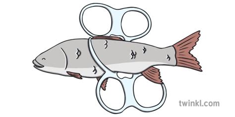 What is River Pollution? - Answered - Twinkl