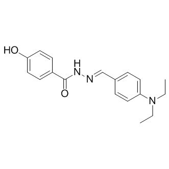 DY131 | ERRβ and ERRγ agonist | Buy DY131 from Supplier AdooQ®