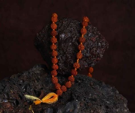 108 Beads Rudraksha Jaap Mala – Tha Soul Astro
