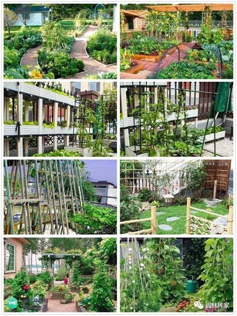 放弃庭院花园，把院子变成“菜园子”，可以吃自己种的放心蔬菜了_的设计