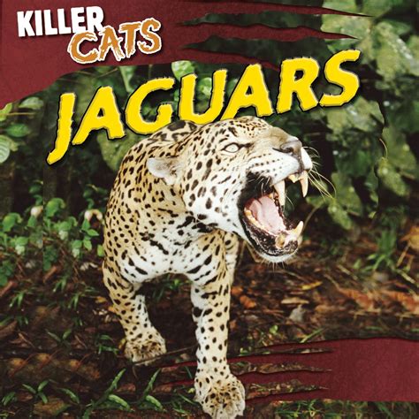 Jaguars (Killer Cats) : Vail, Grace: Amazon.in: Books