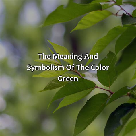 What Does The Color Green Mean? - colorscombo.com