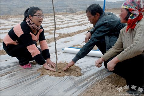 【经济直通车】甘谷县整合项目助农增收(组图)--天水在线