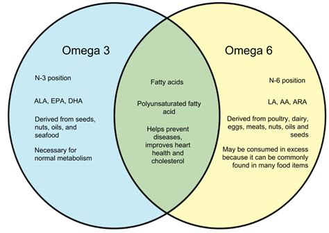 Omega 3 & 6: What’s the difference? - Dirt to Dinner