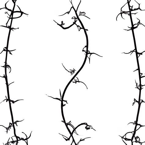 Decorative Vines with Thorns and Leaves Border SVG · Creative Fabrica