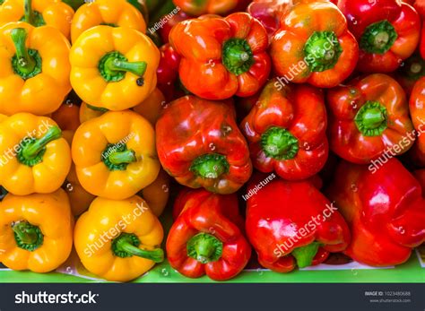 Bell Pepper Yellow Red Stock Photo 1023480688 | Shutterstock