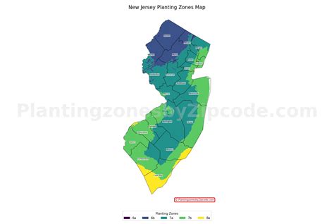 Planting Zones Understanding Planting Zones For Your NJ Landscape