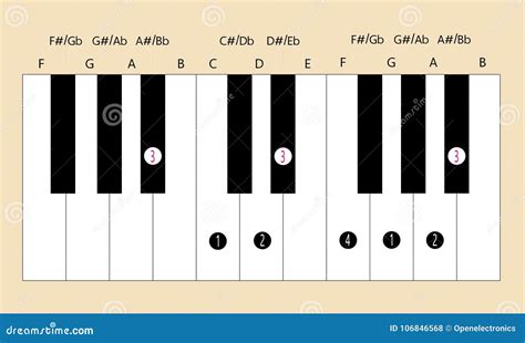 Bb Major Scale Fingering for Piano To Use with Every Application Stock ...