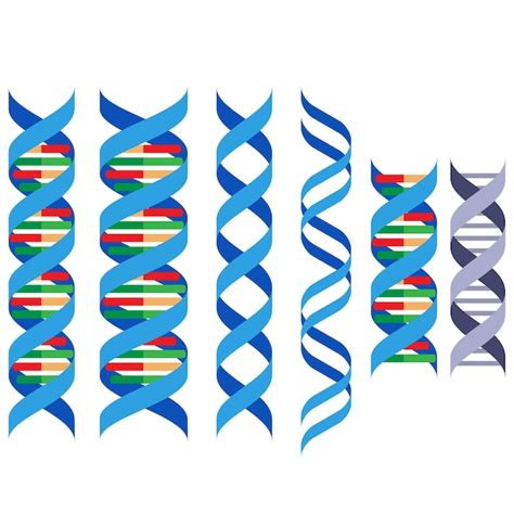 Image result for Complex DNA Structure