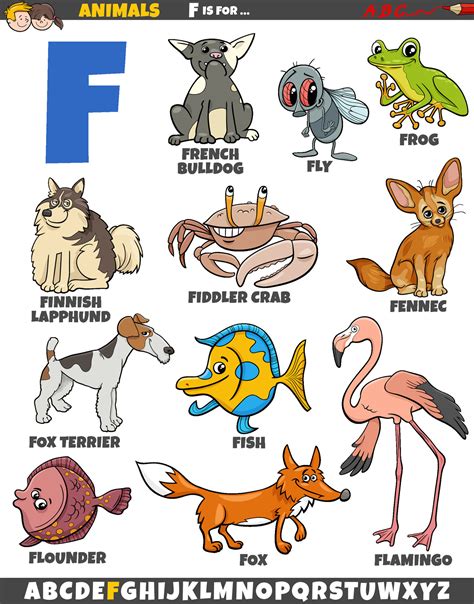 dibujos animados animal caracteres para letra F educativo conjunto ...