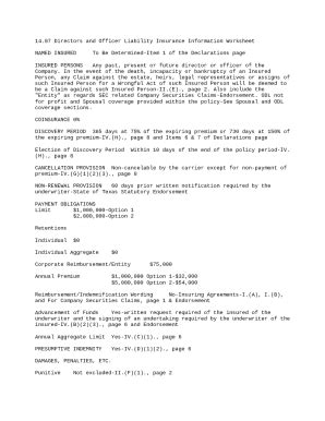 Directors and Officer Liability Insurance Ination Worksheet Doc ...