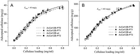 The PT/S-Box of Modular Cellulase AcCel12B Plays a Key Role in the ...