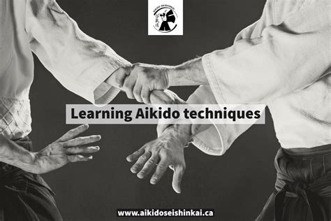 Aikido Lessons Free 的图像结果