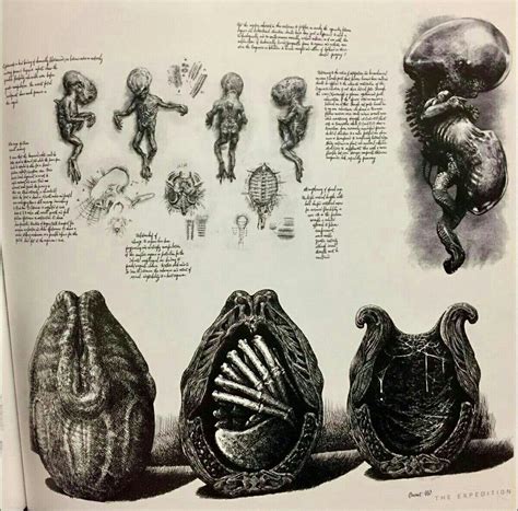 Image result for Alien Covenant Neomorph vs Xenomorph