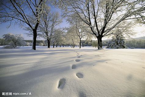 冬天的雪摄影图__自然风景_自然景观_摄影图库_昵图网nipic.com