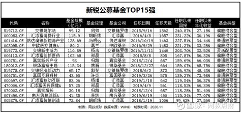 公募基金牛年开门红 主动权益类基金奋蹄一骑绝尘 | GPLP犀牛财经