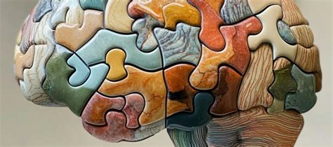 Image result for Low Intellectual Capacity