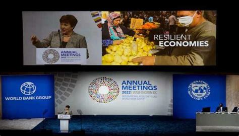 IMF Debt List: Which Countries Owe The IMF The Most In 2025 And Why It ...