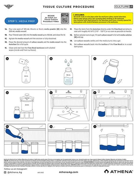 Image result for Tip Culture Methode Modification