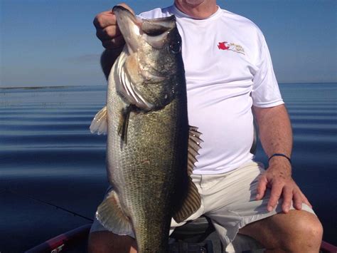 MARK KING BASS FISHING GUIDE (2026) All You Need to Know BEFORE You Go ...