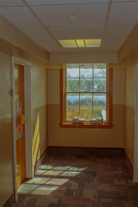 UT Austin Student Life 的图像结果