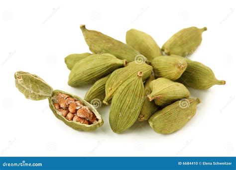 Cardamom Pods Uk at Kathaleen Velasquez blog