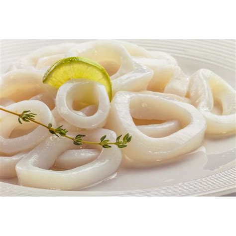 Humboldt Squid - Dosidicus Gigas | Eximany