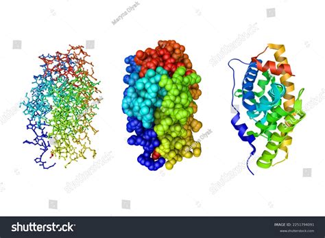 347 Importance Domain Images, Stock Photos & Vectors | Shutterstock