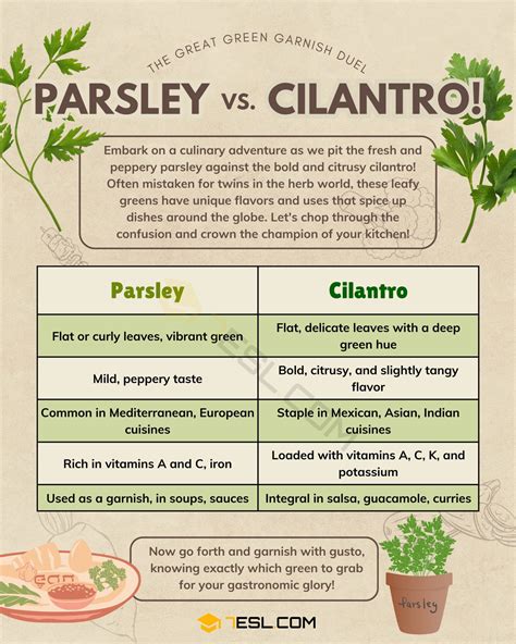 Parsley vs. Cilantro: What's the Difference? • 7ESL