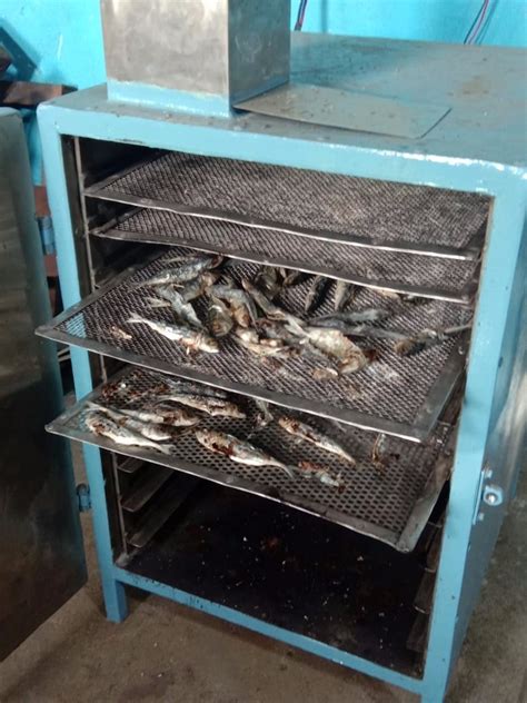 Image result for Fish Drying Machine