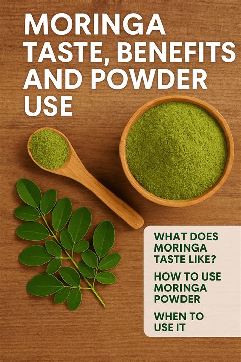 Moringa Taste, Health Benefits & Moringa Powder Uses Explained