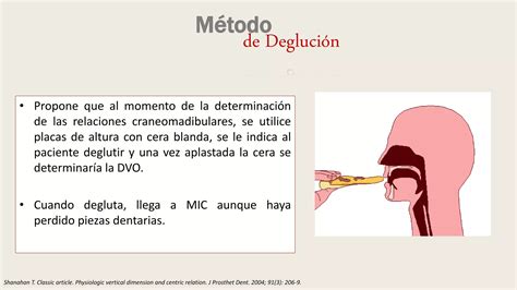 Dimesion vertical | PPTX