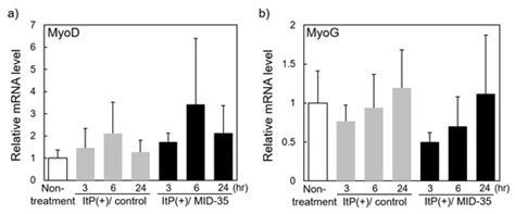 Increasing Skeletal Muscle Mass in Mice by Non-Invasive Intramuscular ...