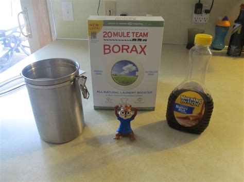Step-by-Step Instructions - Borax Ant Killer