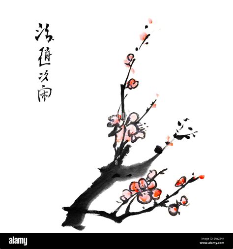 Chinese painting plum blossom hi-res stock photography and images - Alamy