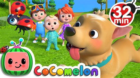 Where Has My Little Dog Gone? + More Nursery Rhymes & Kids Songs ...