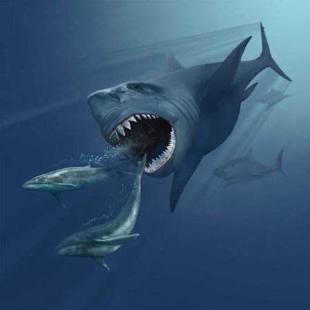 巨齿鲨vs海怪, - 伤感说说吧