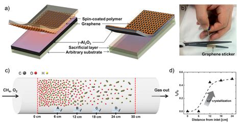 Directly Synthesized Graphene-Based Photonics and Optoelectronics Devices