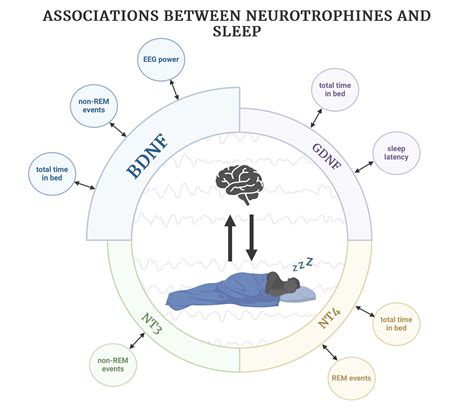 The Relationship between Sleep Parameters Measured by Polysomnography and Selected Neurotrophic ... - what affects deep sleep