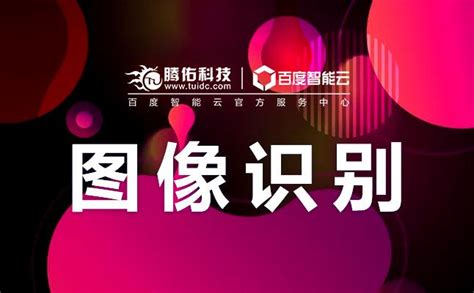 图像识别 的图像结果