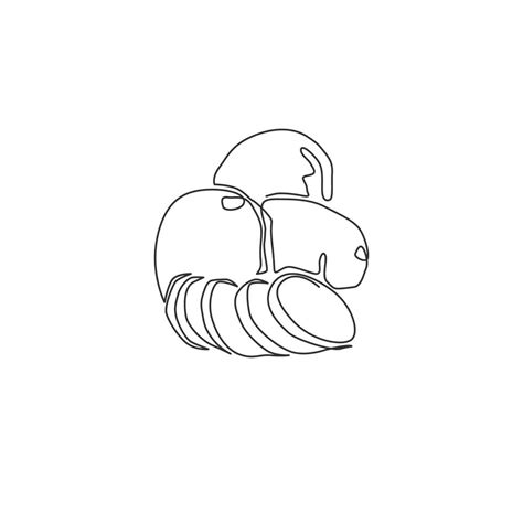 Image result for Potato Man Project Python Coding