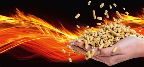 Best Silica Manufacturer in Kolkata : WhiteSpice