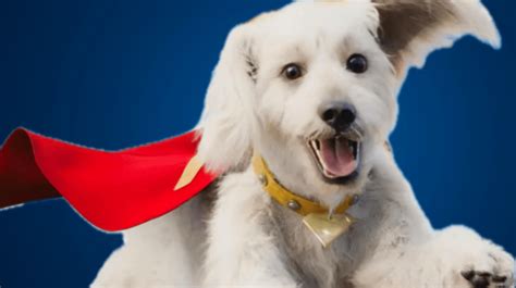 Superman's Dog Krypto Touches Down at Puppy Bowl in New Look at DC Movie