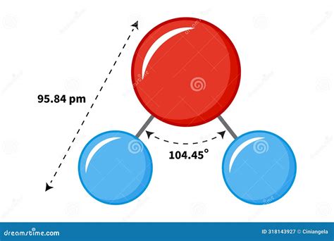 Water Molecule with Bond Angle and Length Stock Vector - Illustration ...