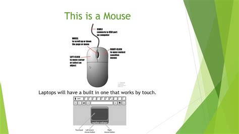 Image result for How to Use a Computer Mouse