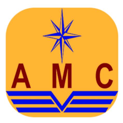 Image result for AMC Icon