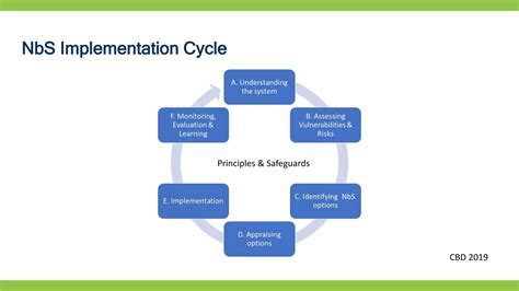 Enhancing biodiversity co-benefits from NbS implementation | PPTX