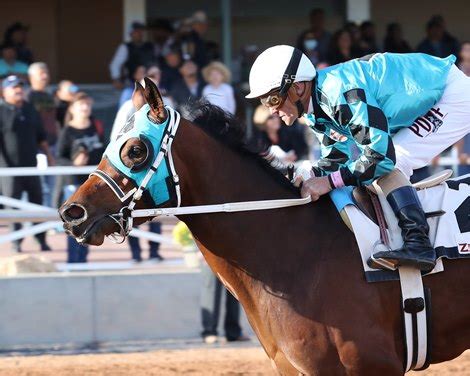 The Jockey Club Releases ID My Thoroughbred App - BloodHorse